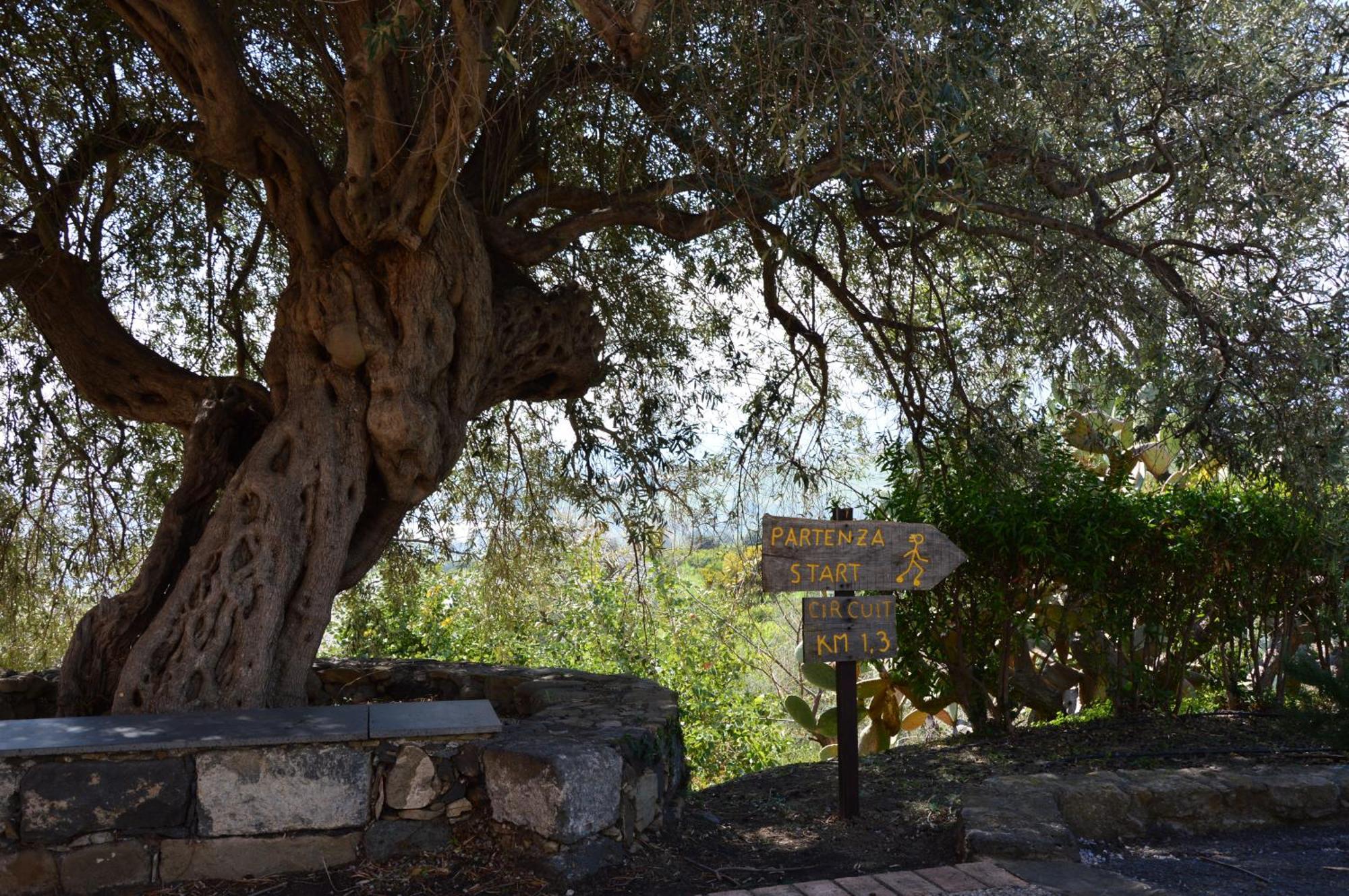 Antico Borgo Etneo Country Hotel Calatabiano Luaran gambar