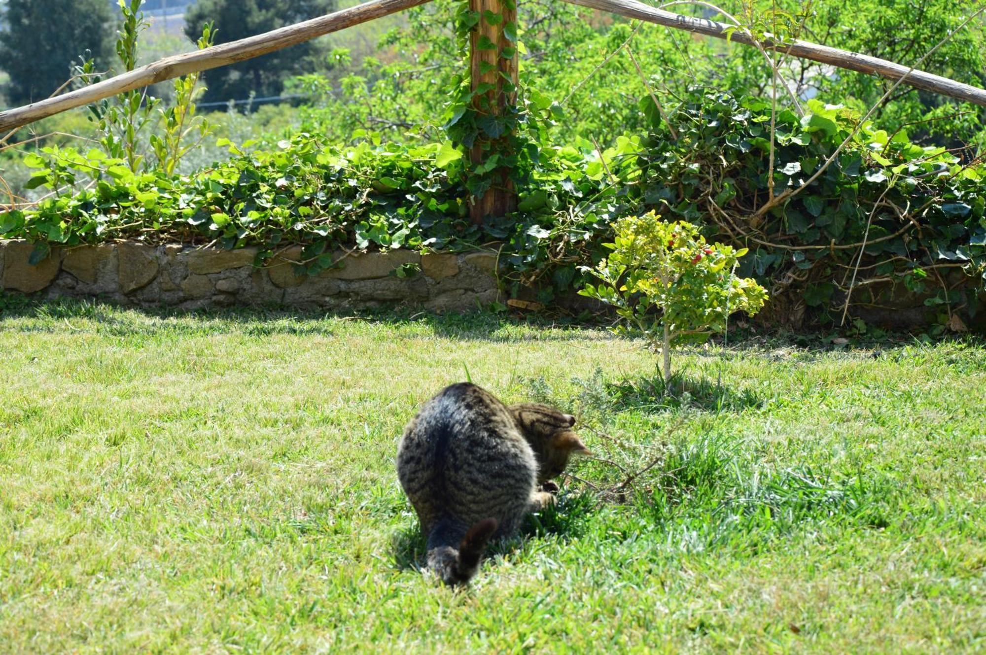 Antico Borgo Etneo Country Hotel Calatabiano Luaran gambar
