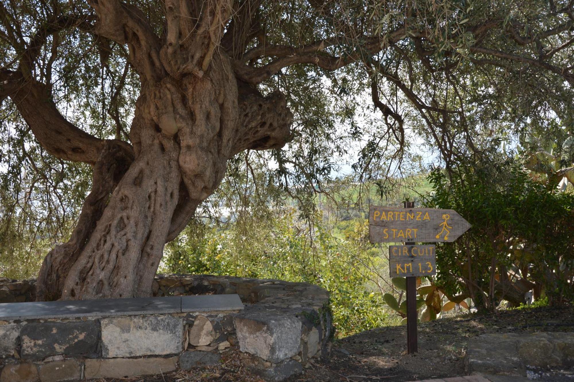 Antico Borgo Etneo Country Hotel Calatabiano Luaran gambar