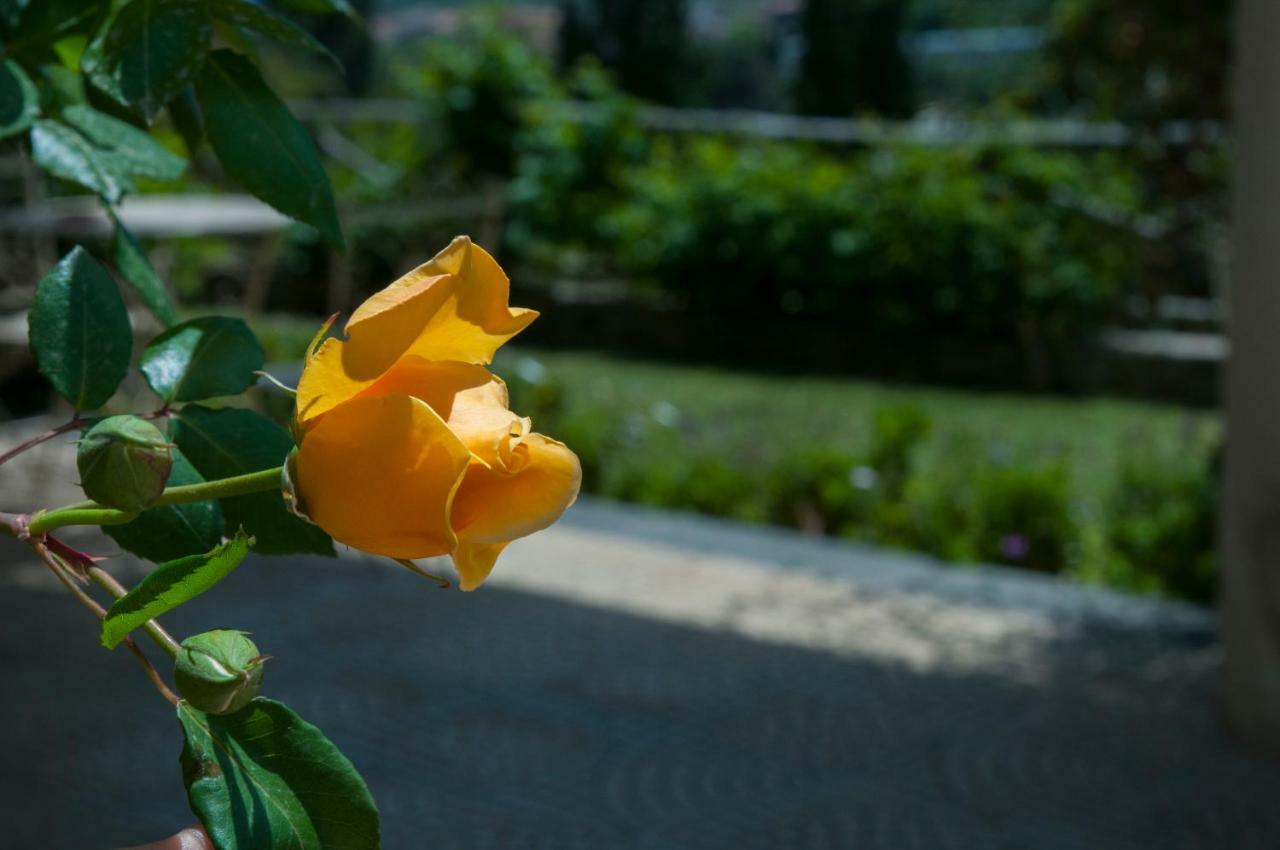 Antico Borgo Etneo Country Hotel Calatabiano Luaran gambar